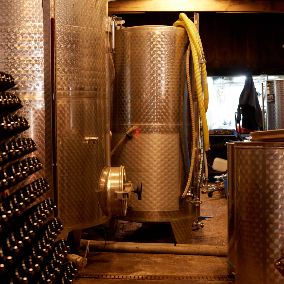 Pebblebed Vineyard Tour & Tasting - Gift Vouchers - Image 6